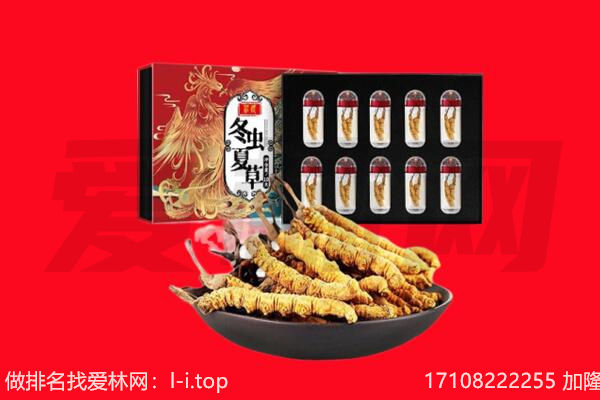 兰州市红古回收虫草.jpg